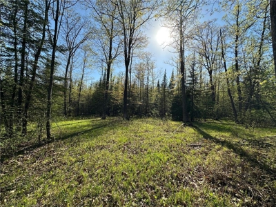 20 Acres of Wooded Recreational Land For Sale in Barnum MN - image 25