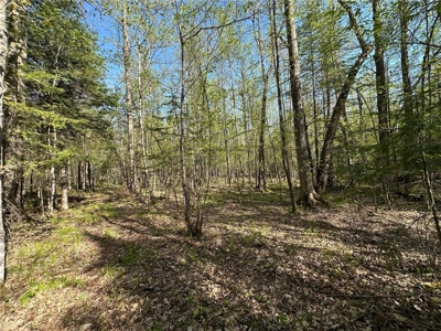 20 Acres of Wooded Recreational Land For Sale in Barnum MN - image 7