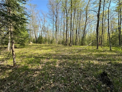 20 Acres of Wooded Recreational Land For Sale in Barnum MN - image 6