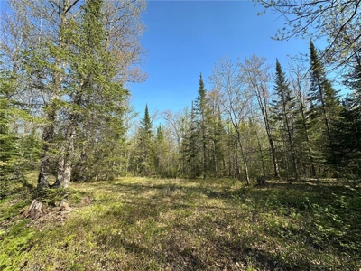20 Acres of Wooded Recreational Land For Sale in Barnum MN - image 10