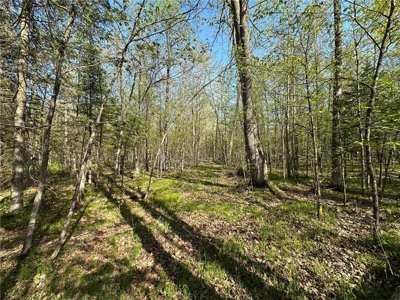 20 Acres of Wooded Recreational Land For Sale in Barnum MN - image 13