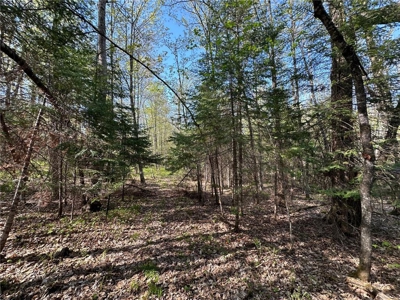 20 Acres of Wooded Recreational Land For Sale in Barnum MN - image 5
