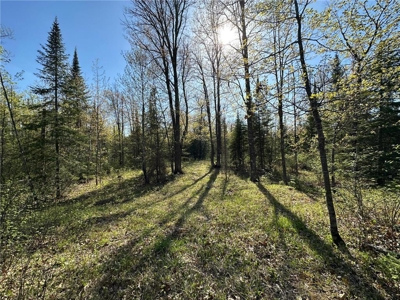 20 Acres of Wooded Recreational Land For Sale in Barnum MN - image 19