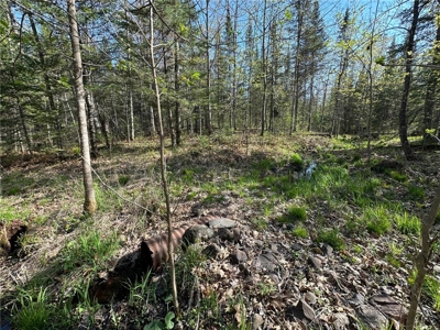20 Acres of Wooded Recreational Land For Sale in Barnum MN - image 16