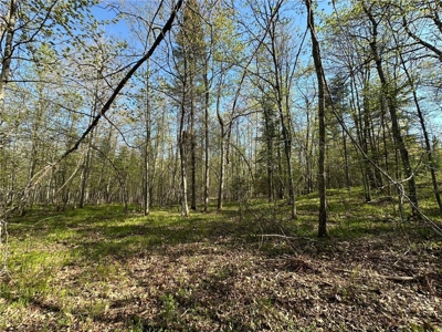 20 Acres of Wooded Recreational Land For Sale in Barnum MN - image 12