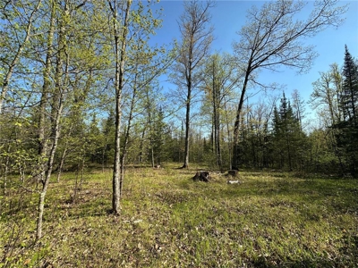 20 Acres of Wooded Recreational Land For Sale in Barnum MN - image 23
