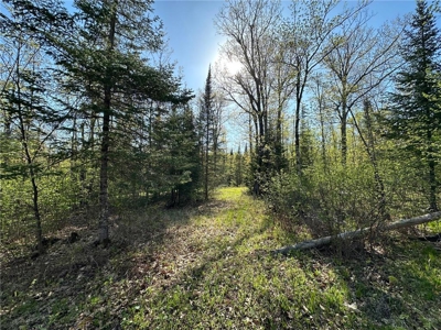 20 Acres of Wooded Recreational Land For Sale in Barnum MN - image 26