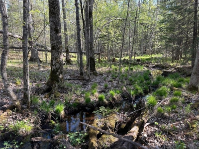 20 Acres of Wooded Recreational Land For Sale in Barnum MN - image 22