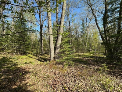 20 Acres of Wooded Recreational Land For Sale in Barnum MN - image 8