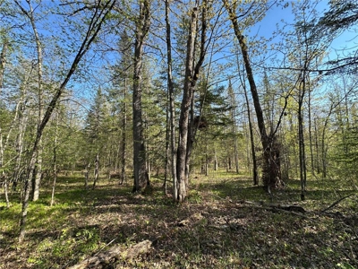 20 Acres of Wooded Recreational Land For Sale in Barnum MN - image 20