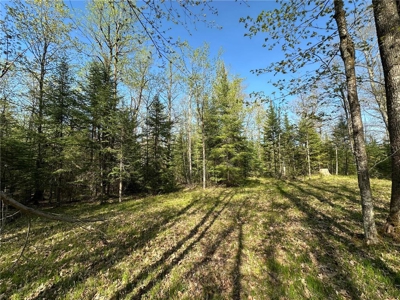 20 Acres of Wooded Recreational Land For Sale in Barnum MN - image 2