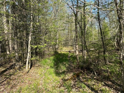 20 Acres of Wooded Recreational Land For Sale in Barnum MN - image 14
