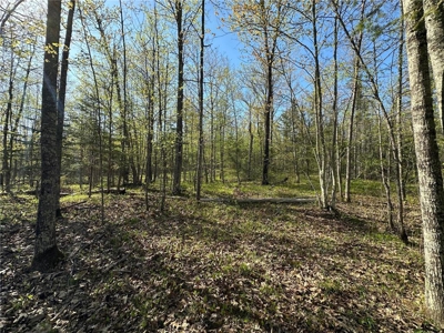 20 Acres of Wooded Recreational Land For Sale in Barnum MN - image 18