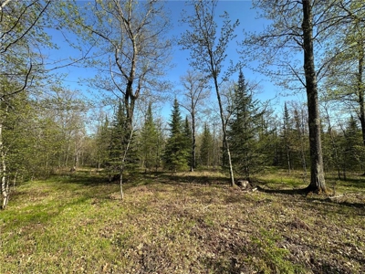 20 Acres of Wooded Recreational Land For Sale in Barnum MN - image 24