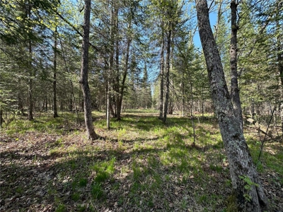 20 Acres of Wooded Recreational Land For Sale in Barnum MN - image 1