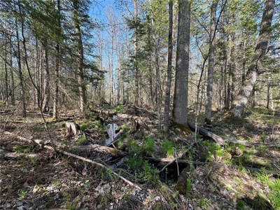 20 Acres of Wooded Recreational Land For Sale in Barnum MN - image 21
