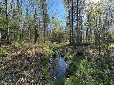 20 Acres of Wooded Recreational Land For Sale in Barnum MN - image 17