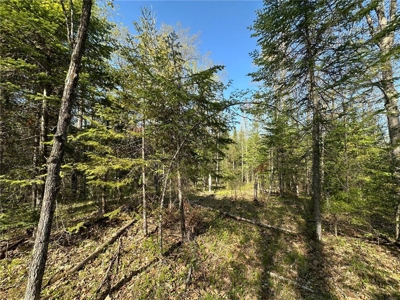 20 Acres of Wooded Recreational Land For Sale in Barnum MN - image 4