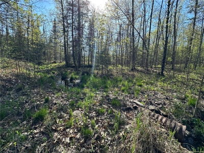 20 Acres of Wooded Recreational Land For Sale in Barnum MN - image 15