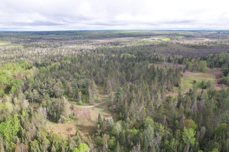 Acreage for Sale in Butternut, Wisconsin - image 16