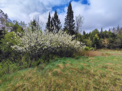 Acreage for Sale in Butternut, Wisconsin - image 19