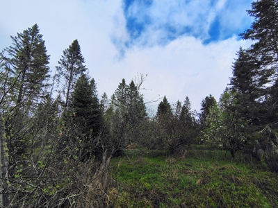 Acreage for Sale in Butternut, Wisconsin - image 10