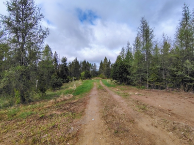 Acreage for Sale in Butternut, Wisconsin - image 25