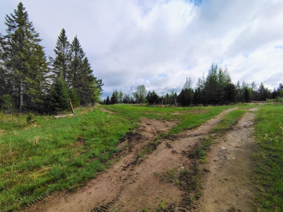 Acreage for Sale in Butternut, Wisconsin - image 11