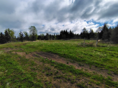 Acreage for Sale in Butternut, Wisconsin - image 20