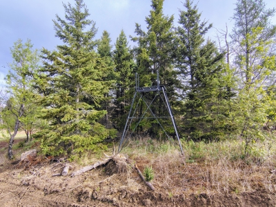 Acreage for Sale in Butternut, Wisconsin - image 23