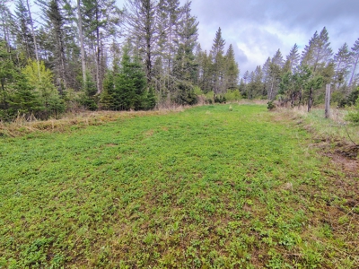 Acreage for Sale in Butternut, Wisconsin - image 12