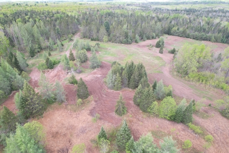 Acreage for Sale in Butternut, Wisconsin - image 17