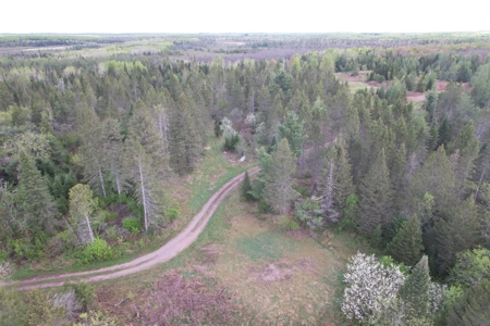 Acreage for Sale in Butternut, Wisconsin - image 29