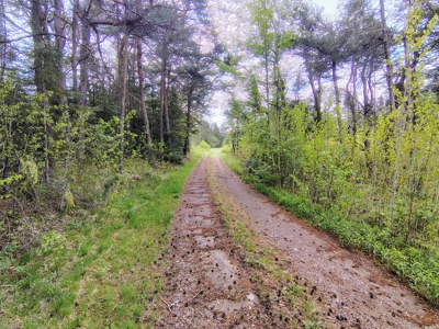 Acreage for Sale in Butternut, Wisconsin - image 8