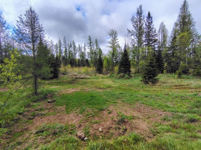 Acreage for Sale in Butternut, Wisconsin - image 24