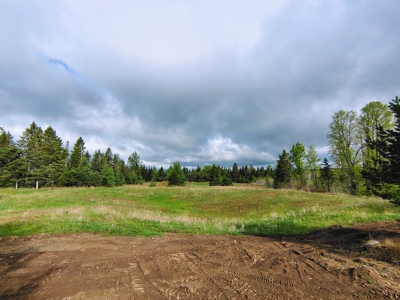 Acreage for Sale in Butternut, Wisconsin - image 30