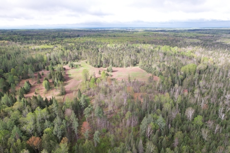 Acreage for Sale in Butternut, Wisconsin - image 1
