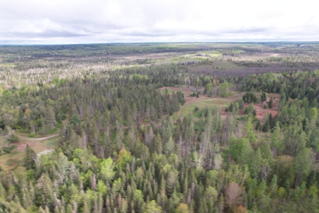 Acreage for Sale in Butternut, Wisconsin - image 27