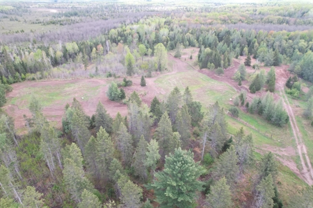 Acreage for Sale in Butternut, Wisconsin - image 28