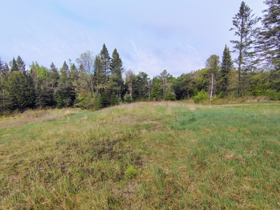 Acreage for Sale in Butternut, Wisconsin - image 5