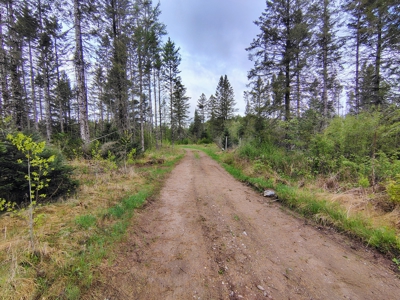 Acreage for Sale in Butternut, Wisconsin - image 14