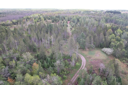 Acreage for Sale in Butternut, Wisconsin - image 3