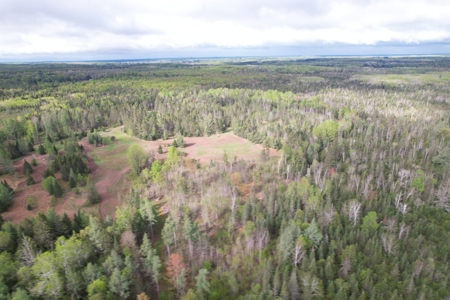 Acreage for Sale in Butternut, Wisconsin - image 4