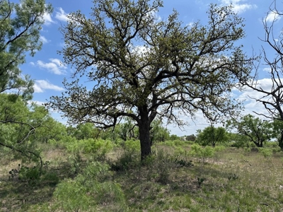Texas Acreage with Home, Shop, RV Parking – Brownwood Real Estate - image 18