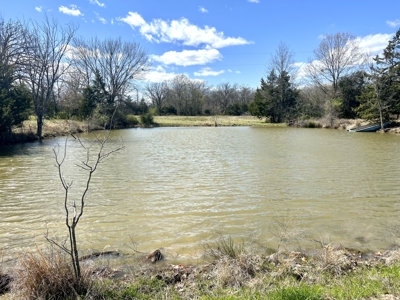6± Acres of Land For Sale in Reno TX, Lamar County TX - image 3