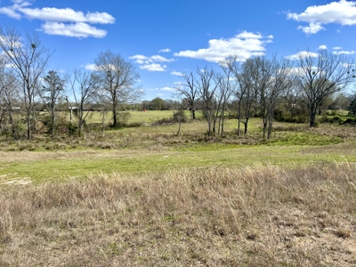 6± Acres of Land For Sale in Reno TX, Lamar County TX - image 4