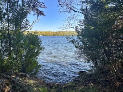 Lakefront Living Without Compromise - image 12