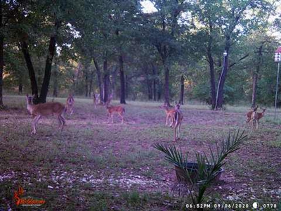 Live Water Property with Leon River Frontage in Gatesville - image 12