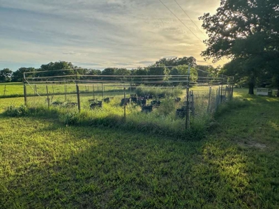 Live Water Property with Leon River Frontage in Gatesville - image 34