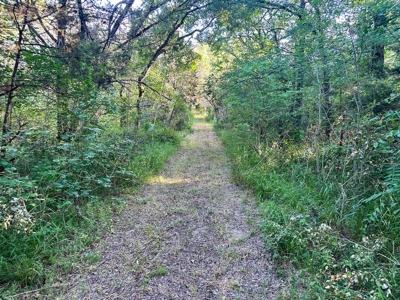 Live Water Property with Leon River Frontage in Gatesville - image 36